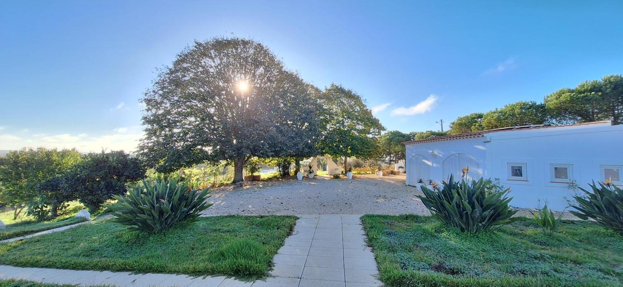 Portela Guesthouse Cercal do Alentejo Exterior photo